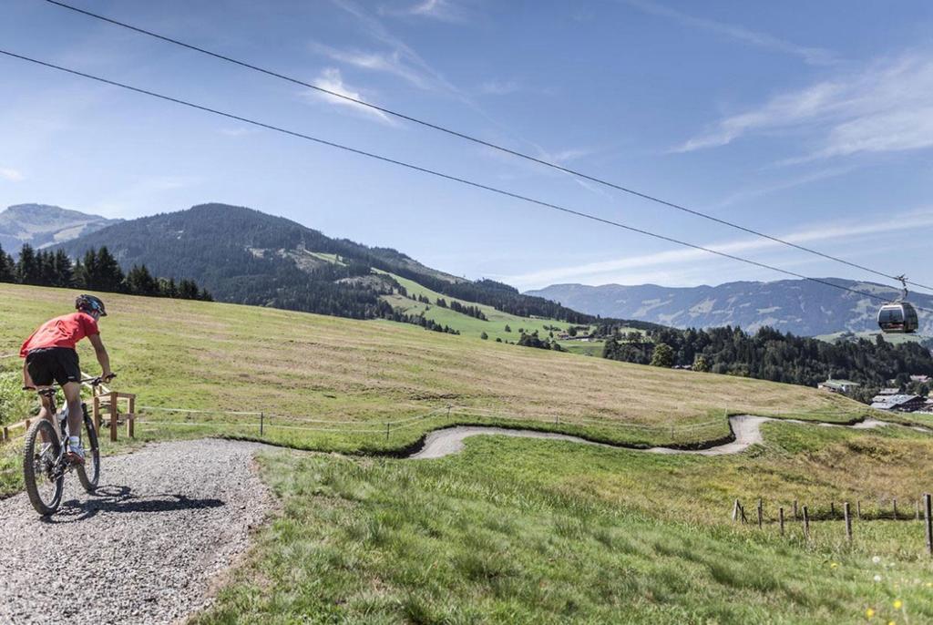 Pension Appartements Alpenblick Maria Alm am Steinernen Meer Exterior photo